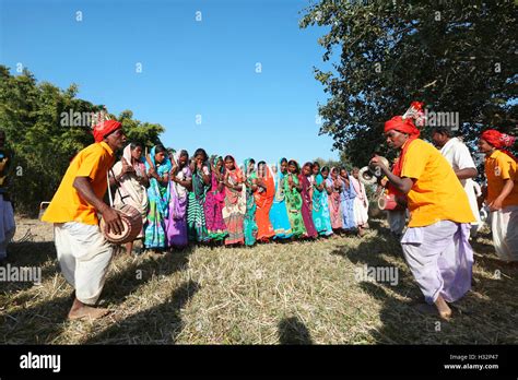 Tribal people performing Karma Dance, NAGESIA TRIBE, Dadgaon Village ...