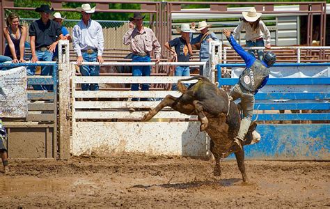 WIN: Bull Riding Action Comes to Twin Falls at 2022 CSI Bull Bash