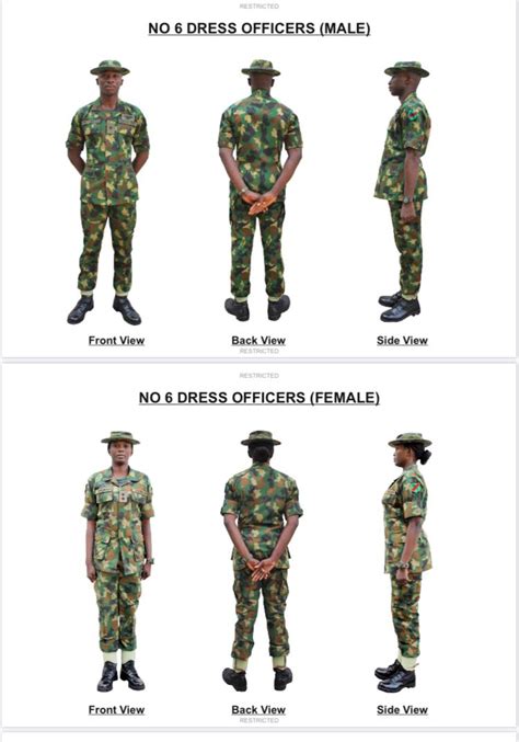 Nigerian Army Ranks Badges Picture