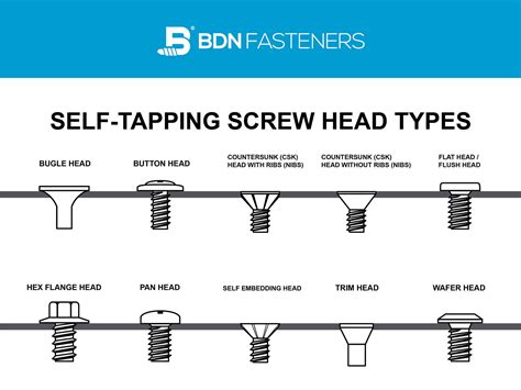 10 Screw Head Types: Different Self-Tapping Screw Head Types | atelier ...