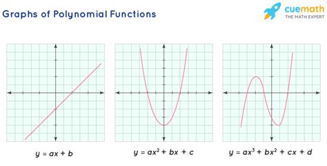 The Graph of Every Polynomial Function Is Both