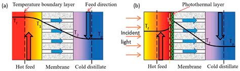 Membranes | Free Full-Text | Recent Advances in Dopamine-Based Membrane ...