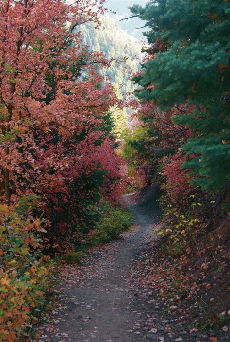 Mill Creek Canyon, Utah Scenes