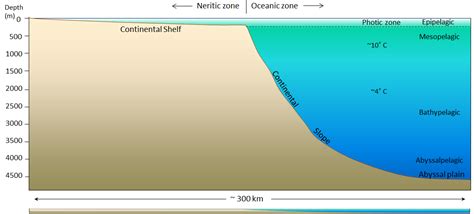 18.1 The Topography of the Sea Floor – Physical Geology