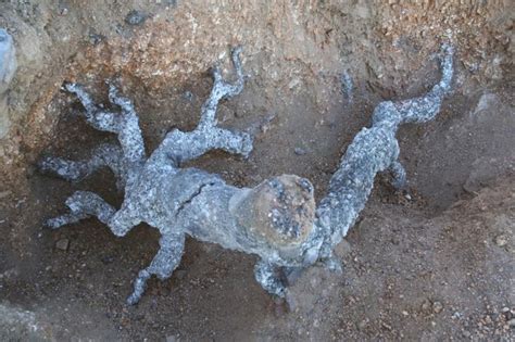 Sand that has ACTUALLY been struck by lightning Lightning Art ...