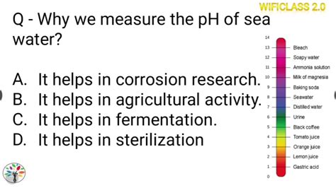 Why we measure the pH of sea water? - YouTube