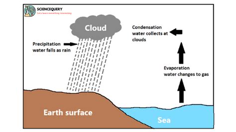 What are the different types of rainfall? - ScienceQuery