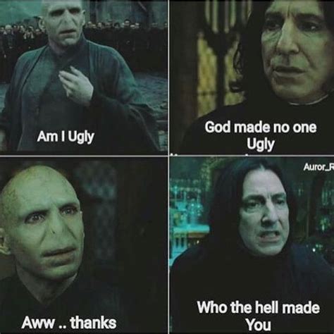 31 Funniest Voldemort Memes That Will Make You Laugh Uncontrollably ...