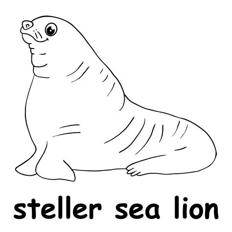 steller sea lion predators Jubatus lion sea eumetopias steller male ad ...