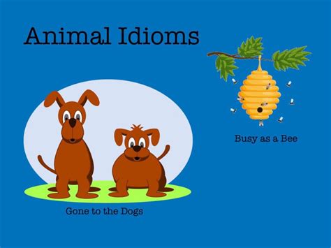 Animal Idioms #2 Free Activities online for kids in 5th grade by Carol ...