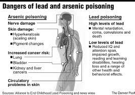 Arsenic Poisoning - Assignment Point