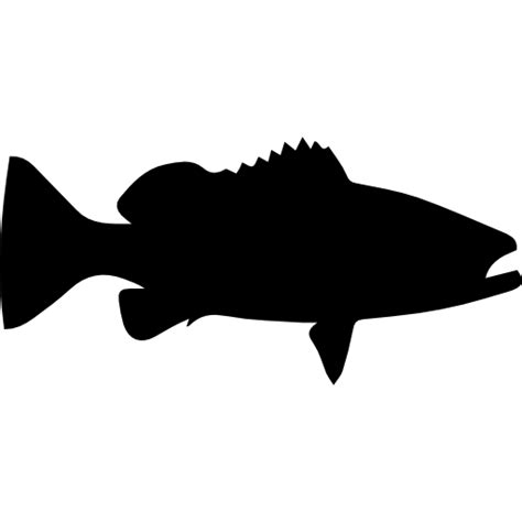 Warsaw grouper fish shape icon