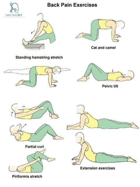 Back Pain Relief Tips » How To Relief