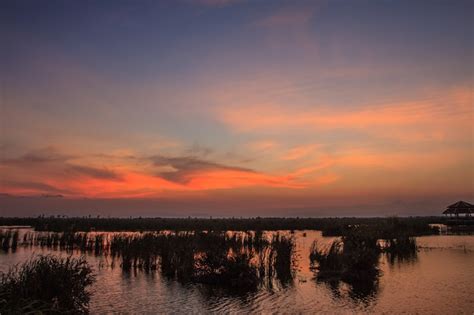 Premium Photo | Wooden bridge in lotus lake on sunset time