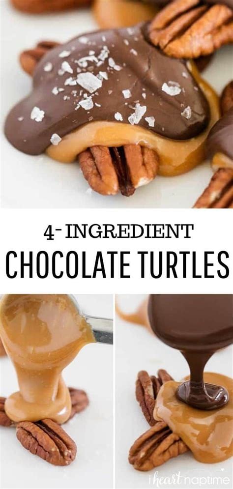 Turtle | Chocolate turtles, Dessert recipes easy, Dessert recipes