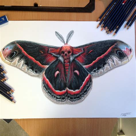 Moth Color Pencil Drawing by AtomiccircuS on DeviantArt