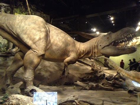 an image of a dinosaur that is in the wild