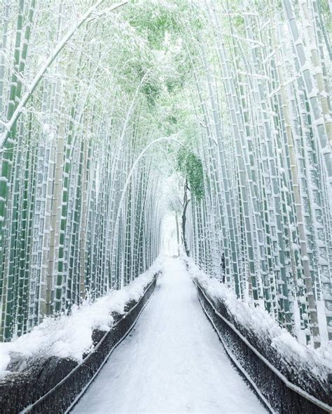 Kyoto's Arashiyama Bamboo forest in Japan - Awesome | Japan winter ...