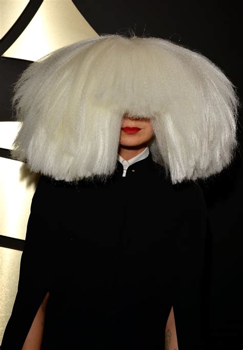 Sia's Giant Wig at the Grammy Awards 2015 | POPSUGAR Celebrity Photo 2