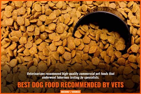 13 Best Dog Foods for Small Dogs – Proper Amount + Quality Ingredients