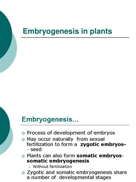 10 Embryogenesis | PDF | Life Sciences | Botany