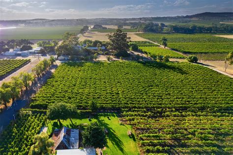 A Local's Guide to the Barossa Valley - View Retreats