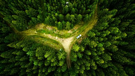 drone, Landscape, Nature, Aerial view, Forest Wallpapers HD / Desktop ...