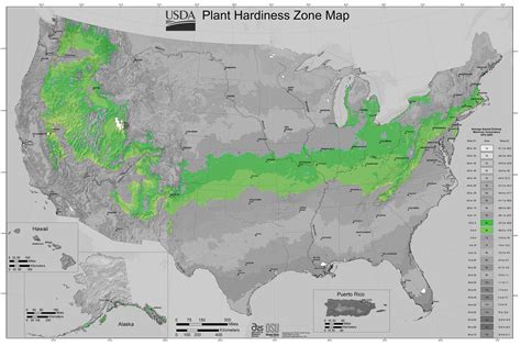 Backyard Design Cincinnati 70, Plants For Landscaping In Kentucky Map