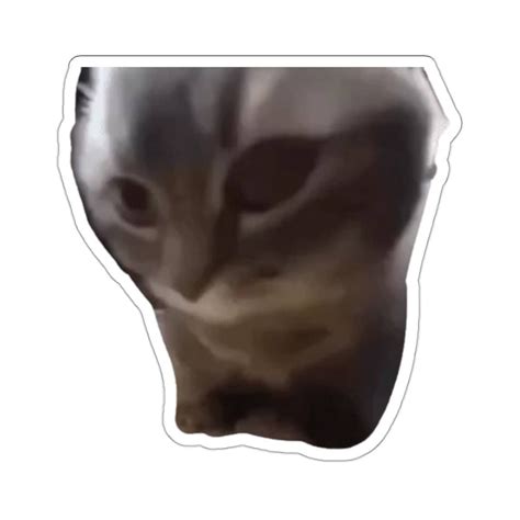 Chipi Chipi Chapa Chapa Cat Sticker | Cat Meme | Tik Tok Meme Sticker ...