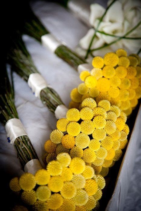 49 best images about Yellow Flowers and Bouquets on Pinterest | Bride ...