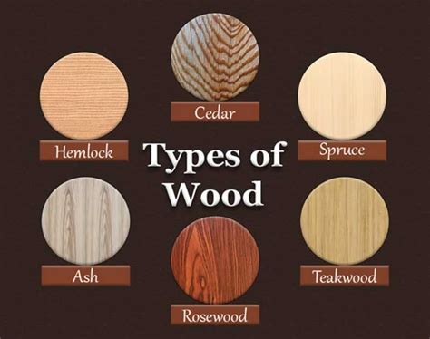 Different Types of Wood and Their Uses