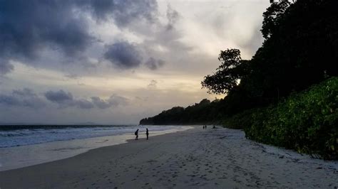 Radhanagar - the Most Beautiful Beach in India - A Walk in the World