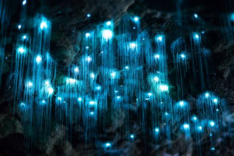 Dazzling Video of a Glowworm Cave in New Zealand