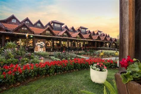 Linda loja de biscoitos e café colonial - Avaliações de viajantes ...