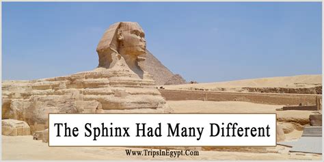 Sphinx Facts | Sphinx History | Sphinx Creature | Sphinx Secrets ...