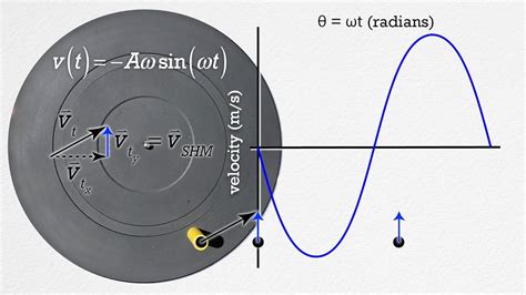 SHM Graphs CIE A Level Physics Revision Notes 2022 Save My , 49% OFF