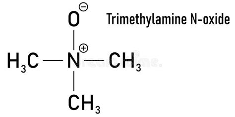 Trimethylamine N-oxide or TMAO Molecule. Skeletal Formula Stock Vector ...