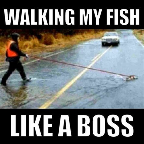 Best Rain Memes for Rainy Days and Stormy Weather | Fishing memes ...