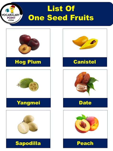 One Seed Fruits Name With Pictures in 2024 | Fruit names, Fruits name ...