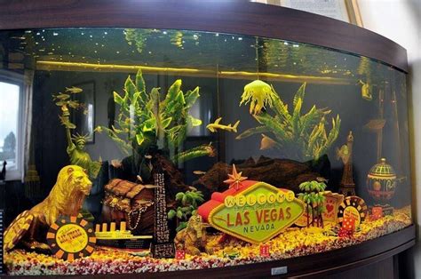 Fish Tanks Las Vegas - Temmie Aquarium