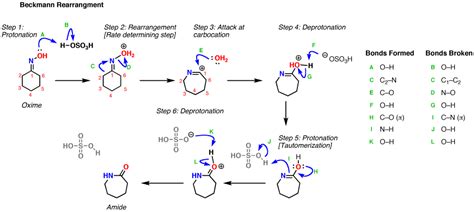 Beckmann Rearrangement – Master Organic Chemistry