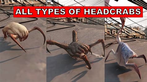 Half life crack life headcrab - shackfer