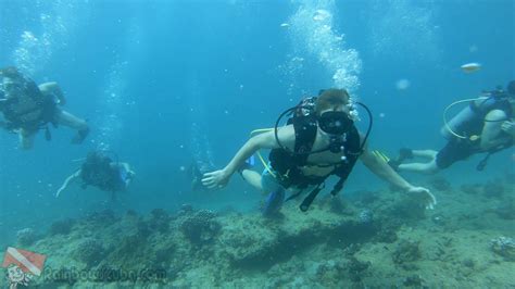 The Best Beginner Oahu Scuba Diving Tours!