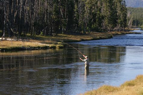 Fly Fishing