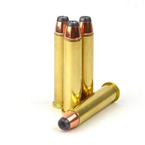 45-70 Gov't 300gr. Hornady JHP (High Power) - Steinel Ammunition Co.