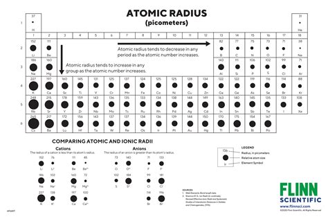 Atomic Radius Periodic Table Trend | Elcho Table