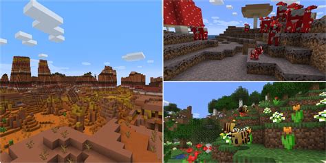 Best Minecraft Biomes For Early Game Bases – Kaki Field Guide