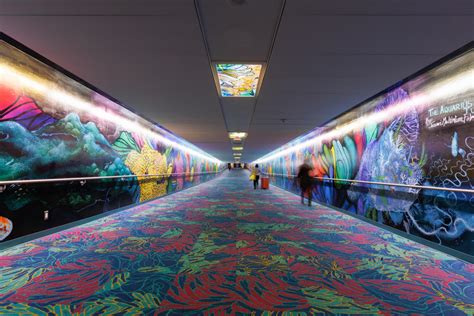 Indian American artist behind Americaâ€™s first art tunnel