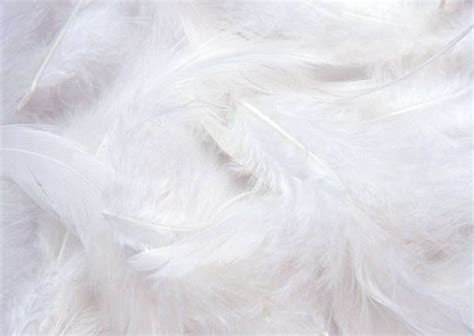 White Feathers Background | Feather background, White glitter ...