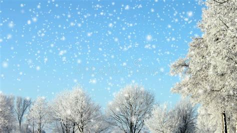 Winter Stock Footage & Videos - 689,722 Stock Videos